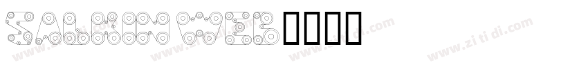 salkin web字体转换